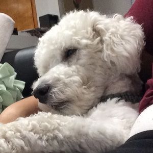 Meet your Posher, Brenda